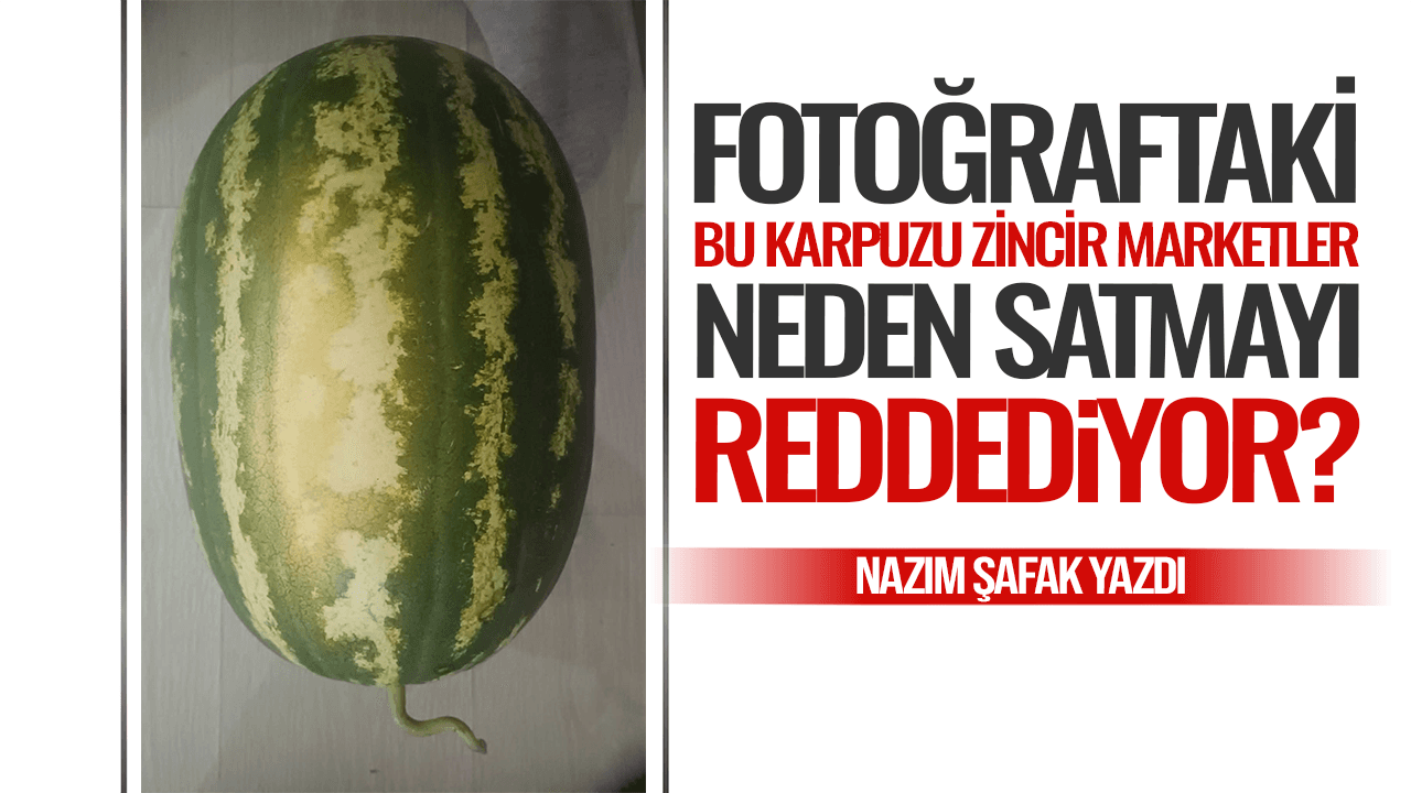 Fotoğraftaki bu karpuzu zincir marketler neden satmayı reddediyor?